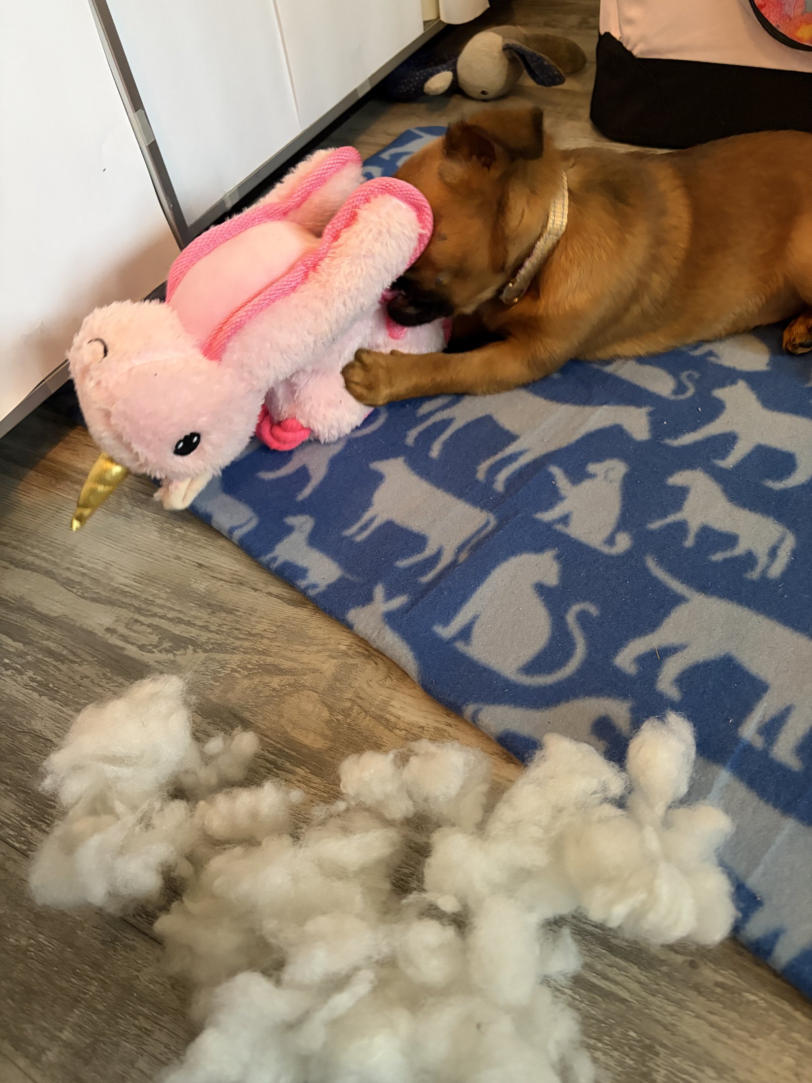 The one with the dead unicorn