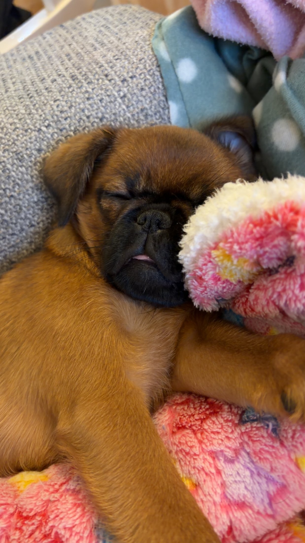 The one with the rare condition of sleep