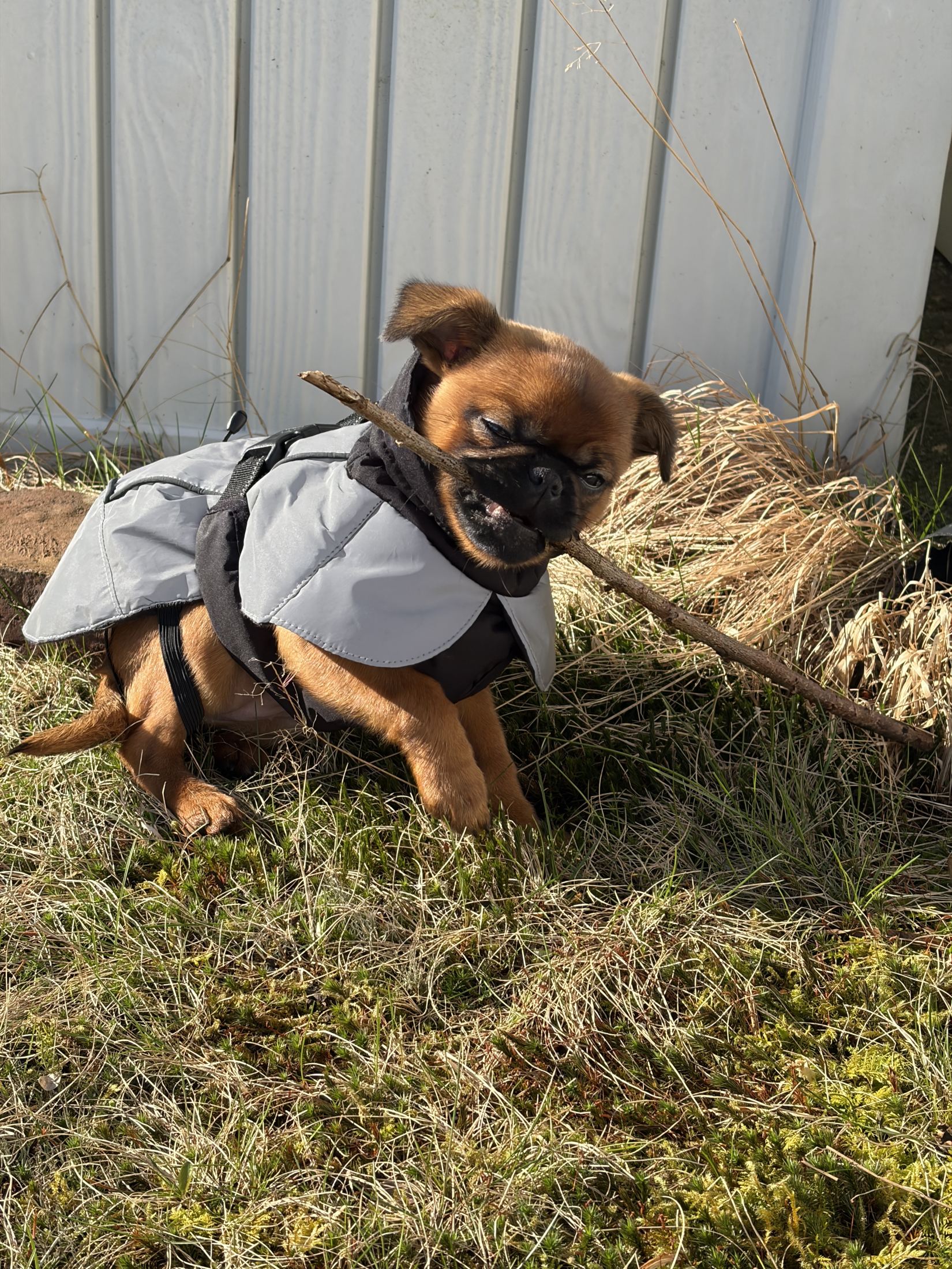 The one with the incredible stick